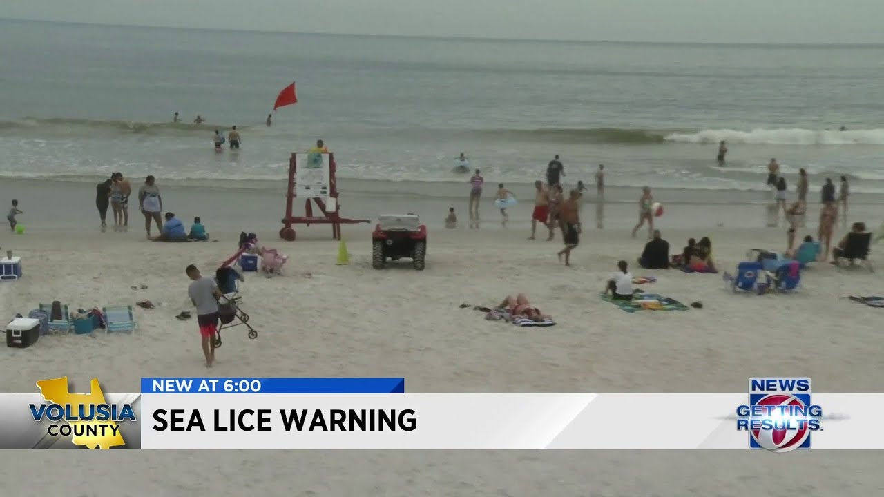 Sea Lice Concern