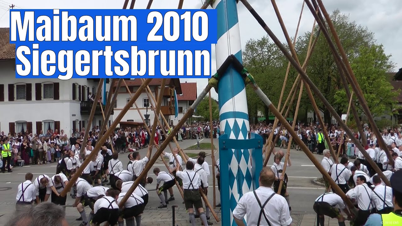 Maibaum 2010 Siegertsbrunn
