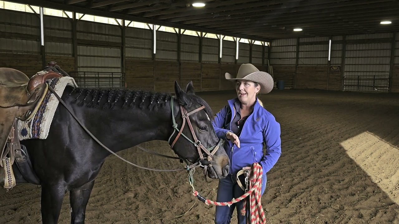 I can't believe she does that!! 🫨            Side reins: a useful tool when used CORRECTLY