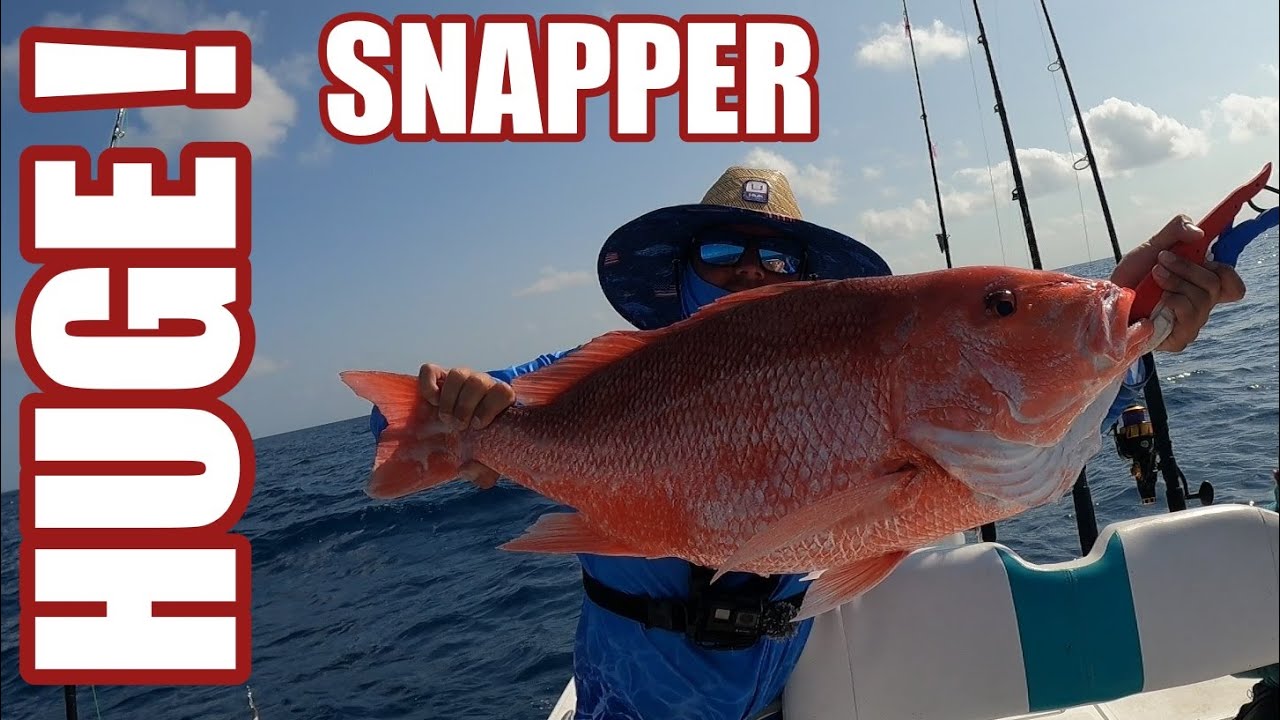 BIGGEST !! Snapper I Have Ever Saw | Deep Sea Fishing for HUGE Red Snapper