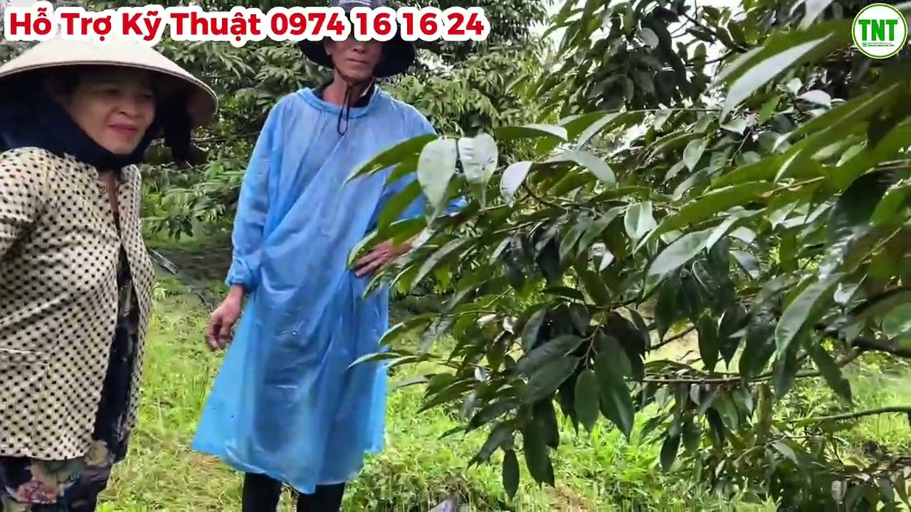 Mưa Trái Mùa Nguy Hiểm Nhưng Hệ Quả Mà Mưa Trái Mùa Mang Lại Mới Là Điều Cực Kỳ Nguy Hiểm Cần Chú Ý