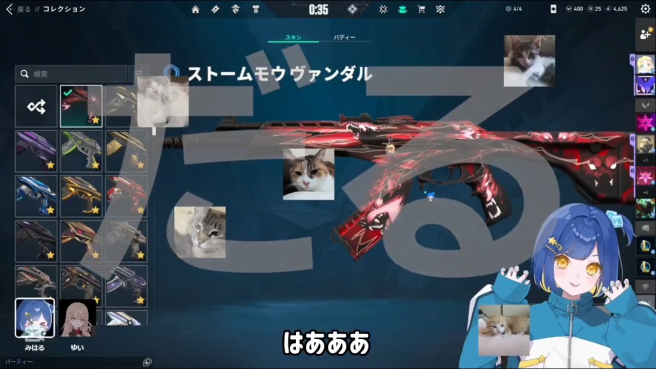 【 #valorant 】ねこがーどの攻略法