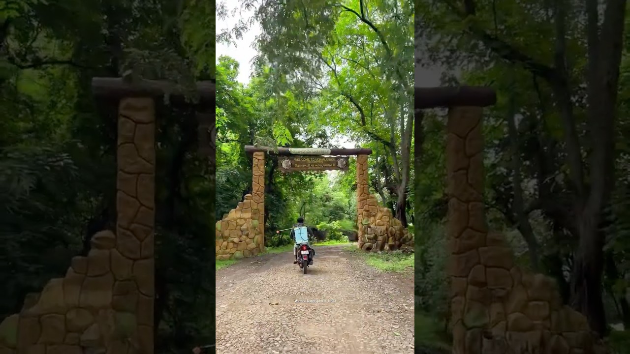 Vishal khadi eco campsite | ઇકો કેમ્પ સાઈટ #ecocampsite
