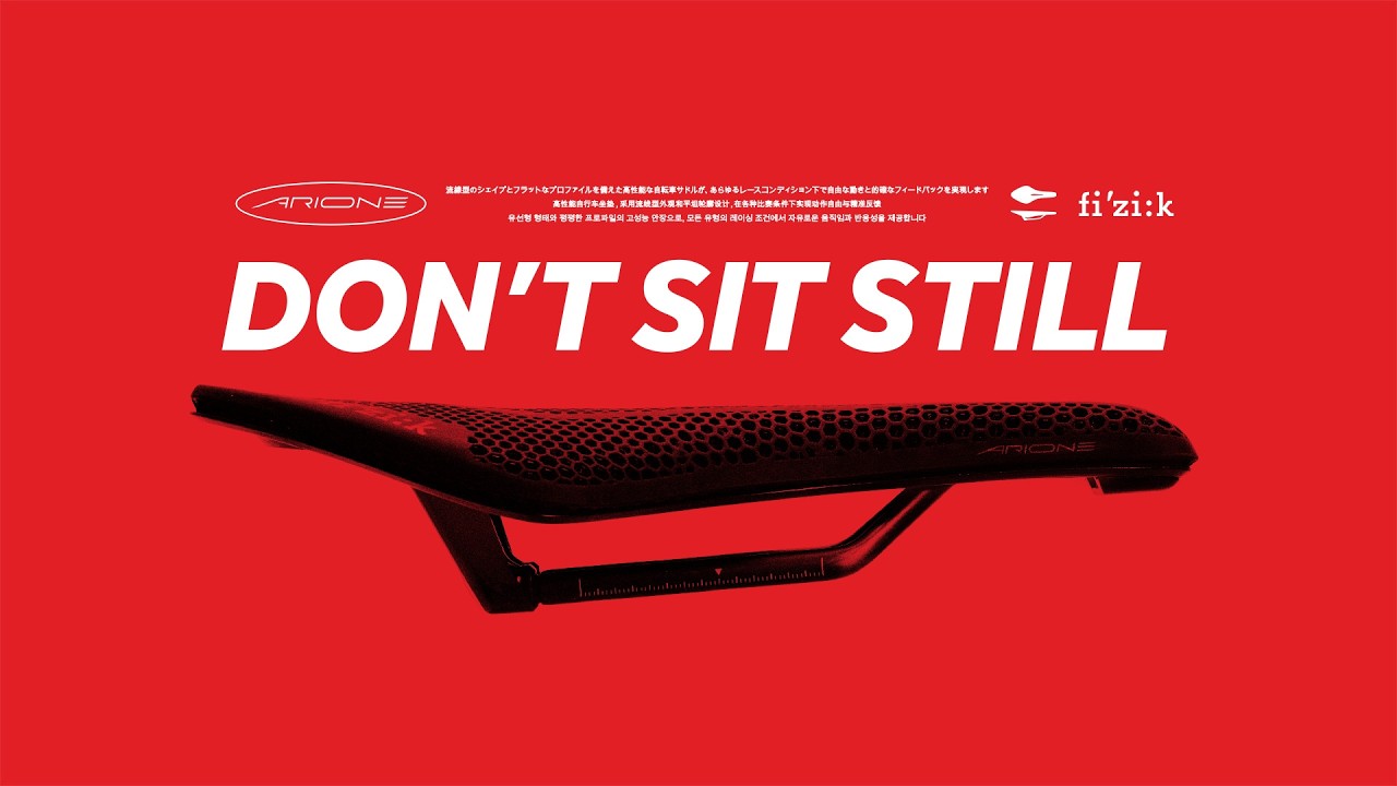 Fizik | Arione saddles