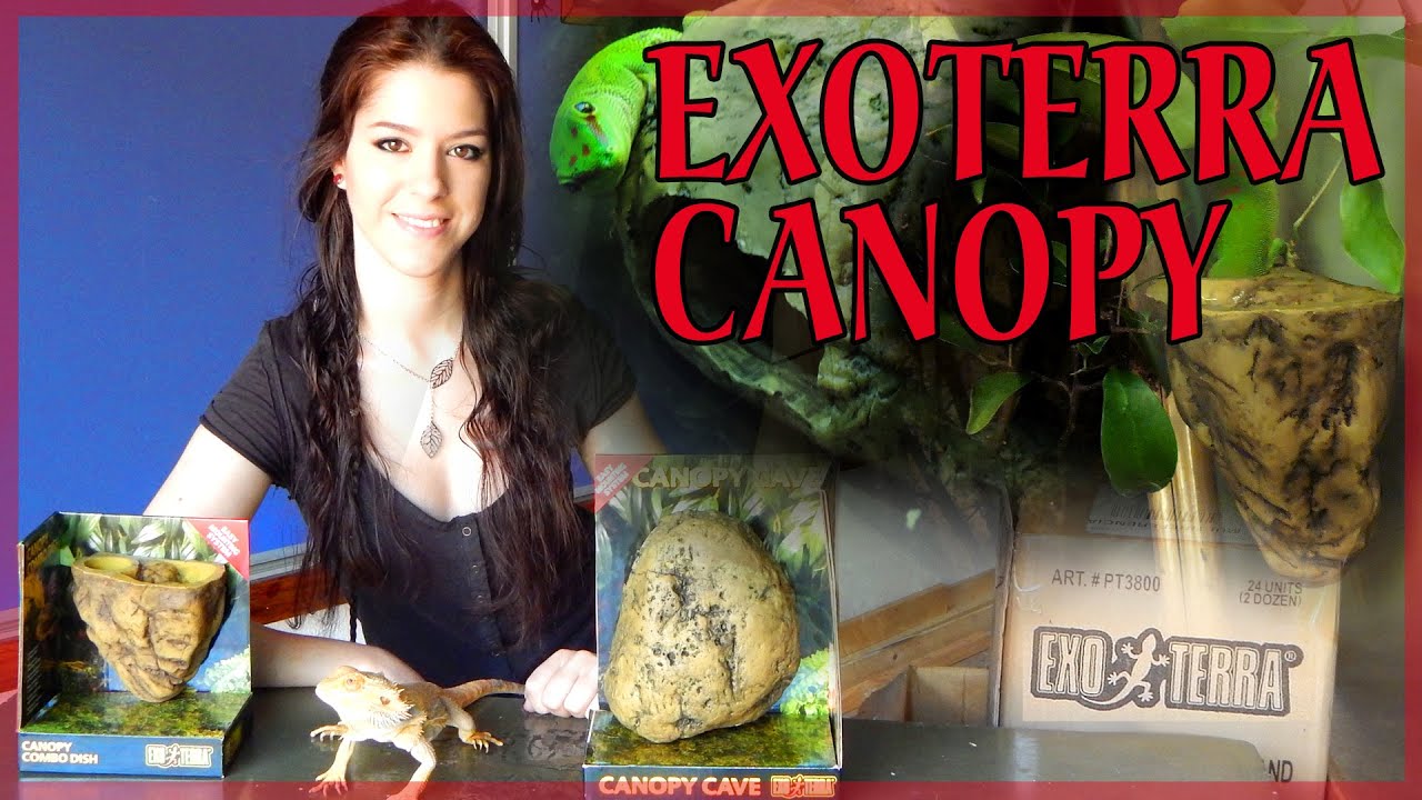 COMBO Y CUEVA CANOPY DE EXO TERRA |Review dR