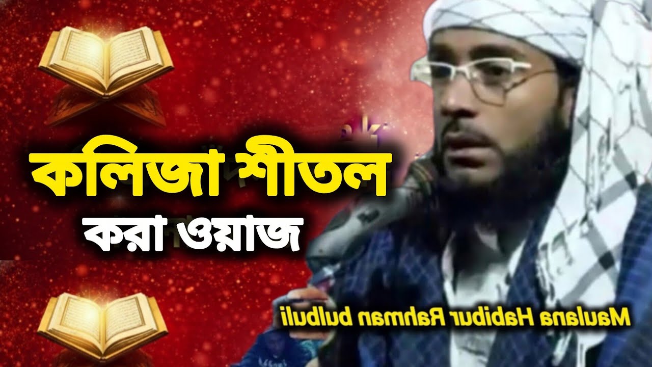 কলিজা শীতল করা ওয়াজ | মাওলানা হাবিবুর রহমান বুলবুলি | Maulana habibur Rahman Bulbuli 