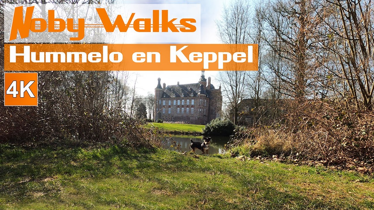 Castle Nature Hike | Laag Keppel | Hummelo | Achterhoek | Gelderland | Netherlands | dog Noby | 4K.