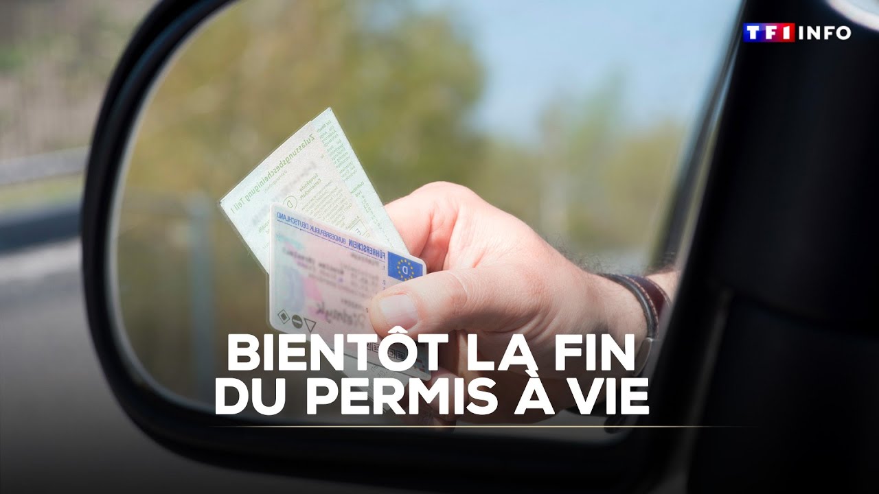 Bient&ocirc;t la fin du permis &agrave; vie｜TF1 INFO