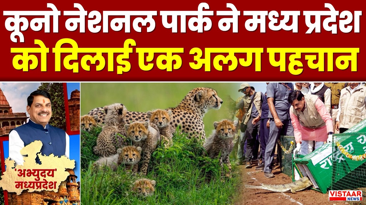 MP News : Kuno National Park ने Madhya Pradesh को दिलाई एक अलग पहचान | MP Wildlife | CM Mohan Yadav