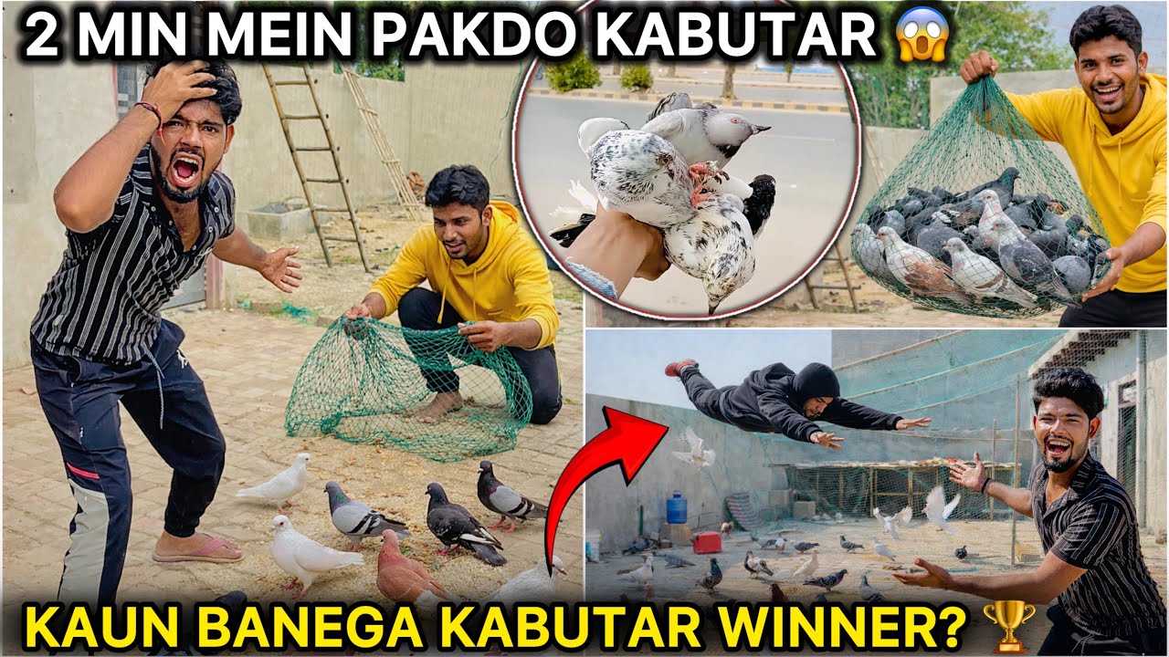 2 Minute Mein Kabutar Pakadne Ka Challenge 😱|| Kaun Banega Winner? 🏆