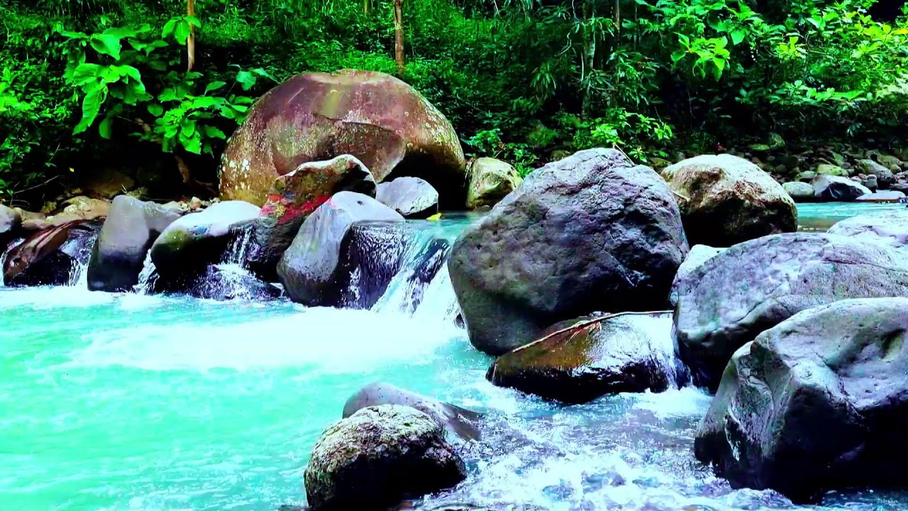 Relaxing River & Bird Chirps ASMR - Nature’s White Noise for Sleep, Studying, and Calm Focus
