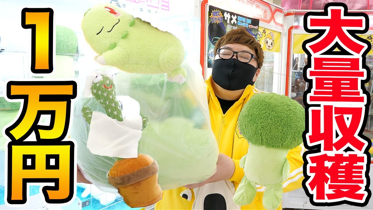 【大量収穫?!】クレーンゲーム1万円で野菜っぽい景品を大量に収穫してみた！何個取ることが出来るのか?!