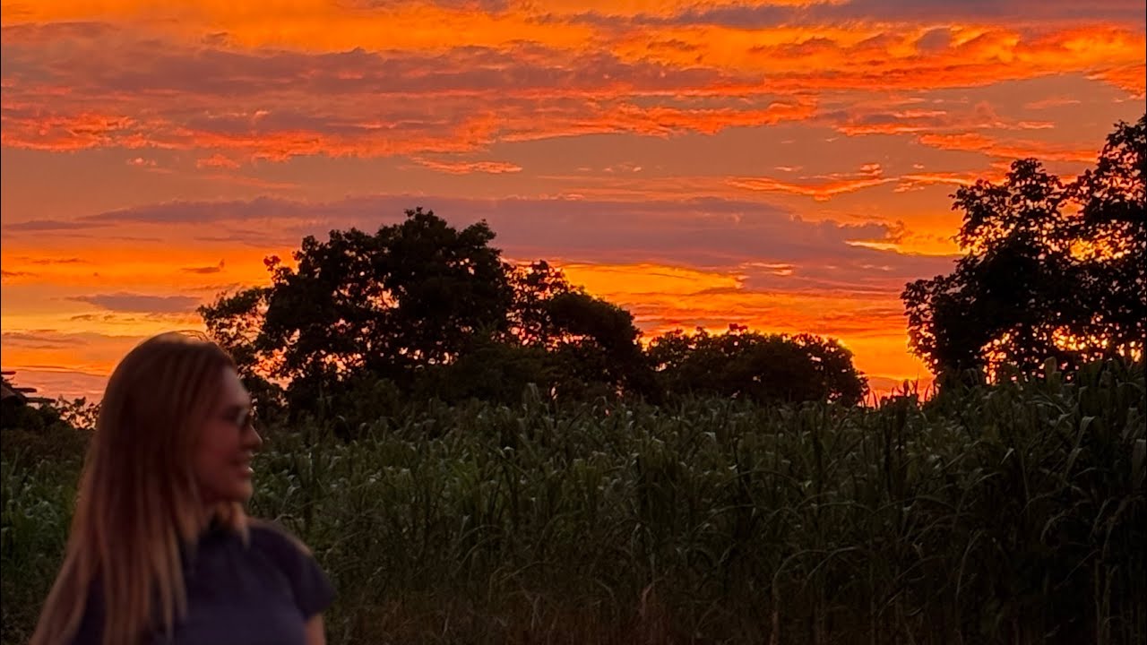Um dia na Transpantaneira , Pantanal Mato-grossense 🐊🦌🦆