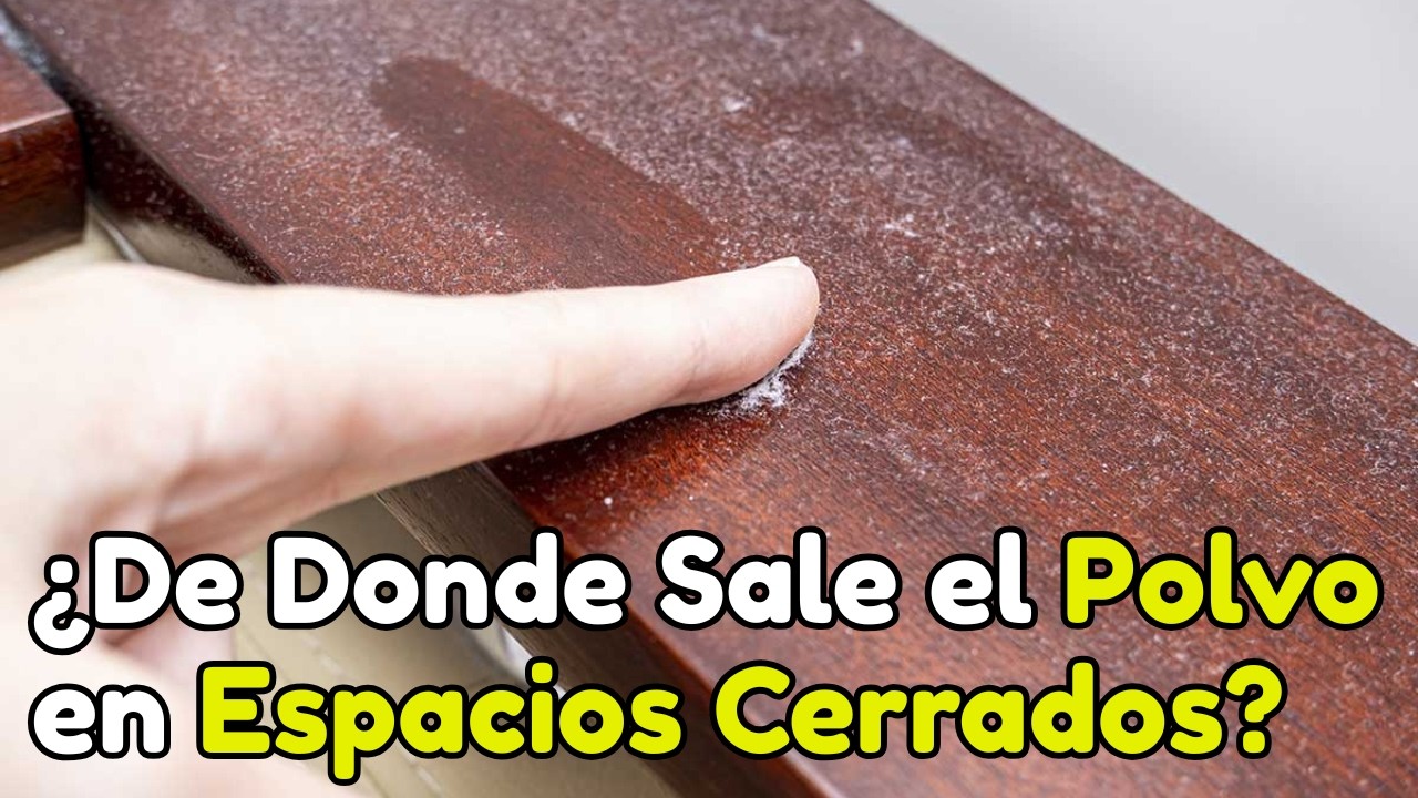 ¿Por Qué hay Polvo Incluso en Habitaciones Cerradas? | El misterio del polvo