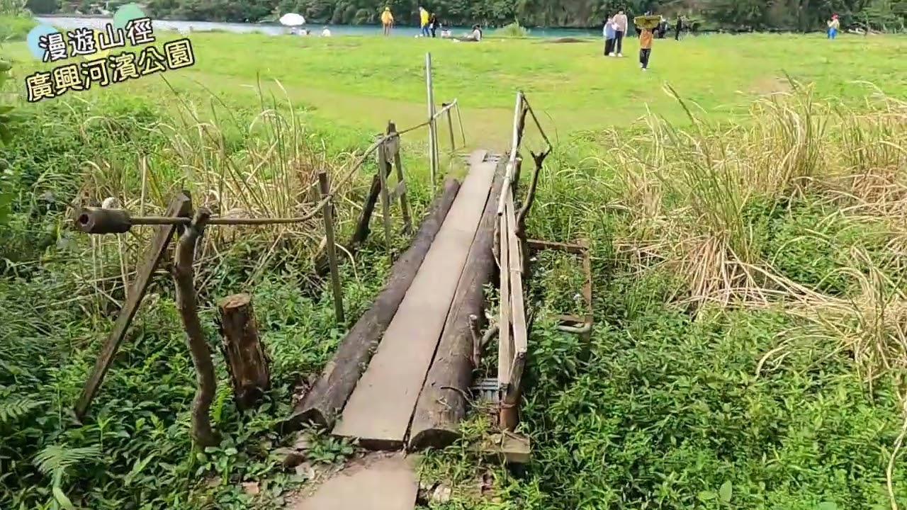 廣興河濱公園 | 遇見浣熊和老鷹曬日光浴