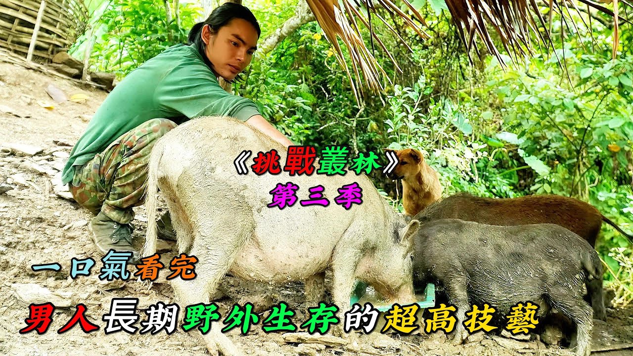 一口氣看完，男人長期野外生存的超高技藝《挑戰叢林》第三季（09-12）