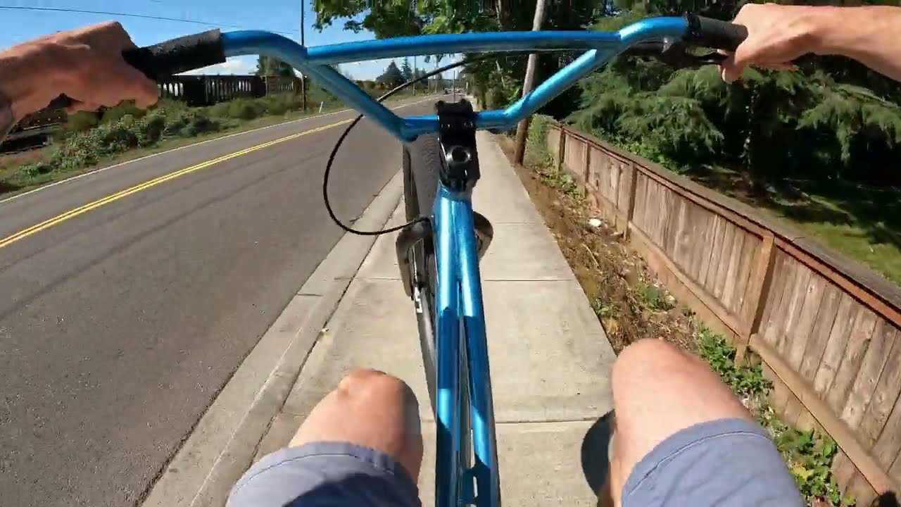 Mafia Bikes Chonky 2-month review