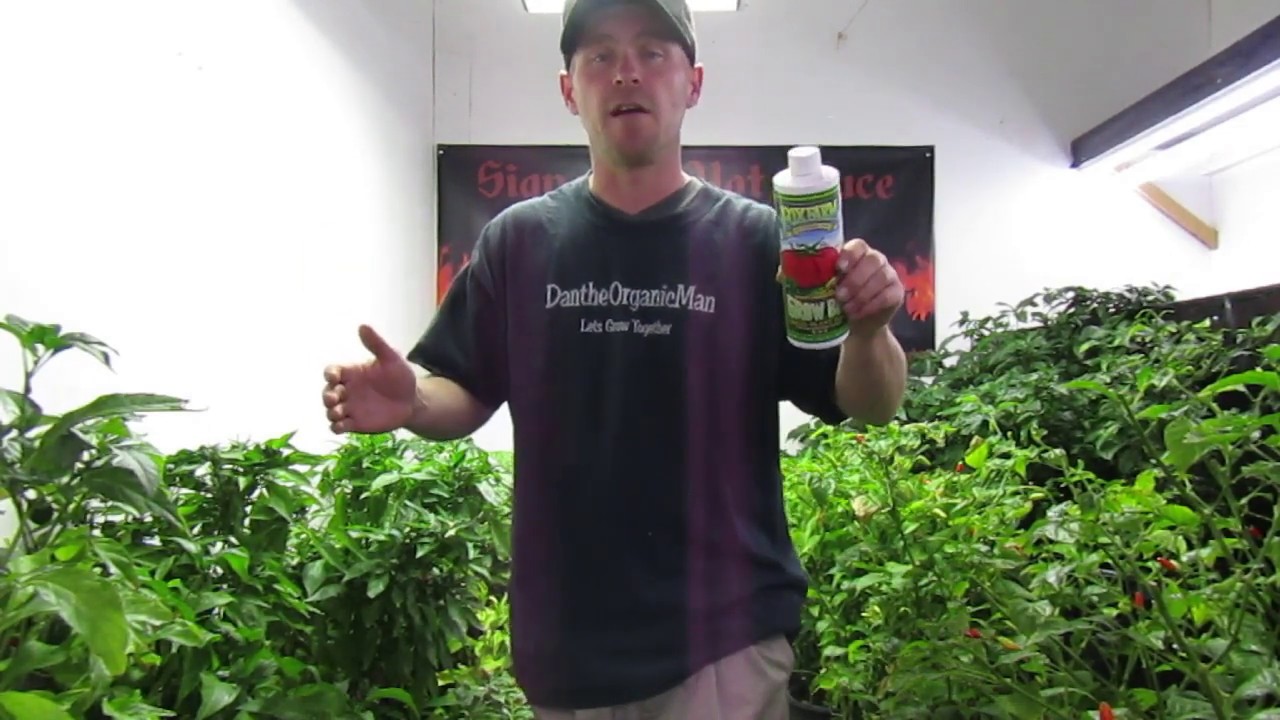 Fox Farm Grow Big