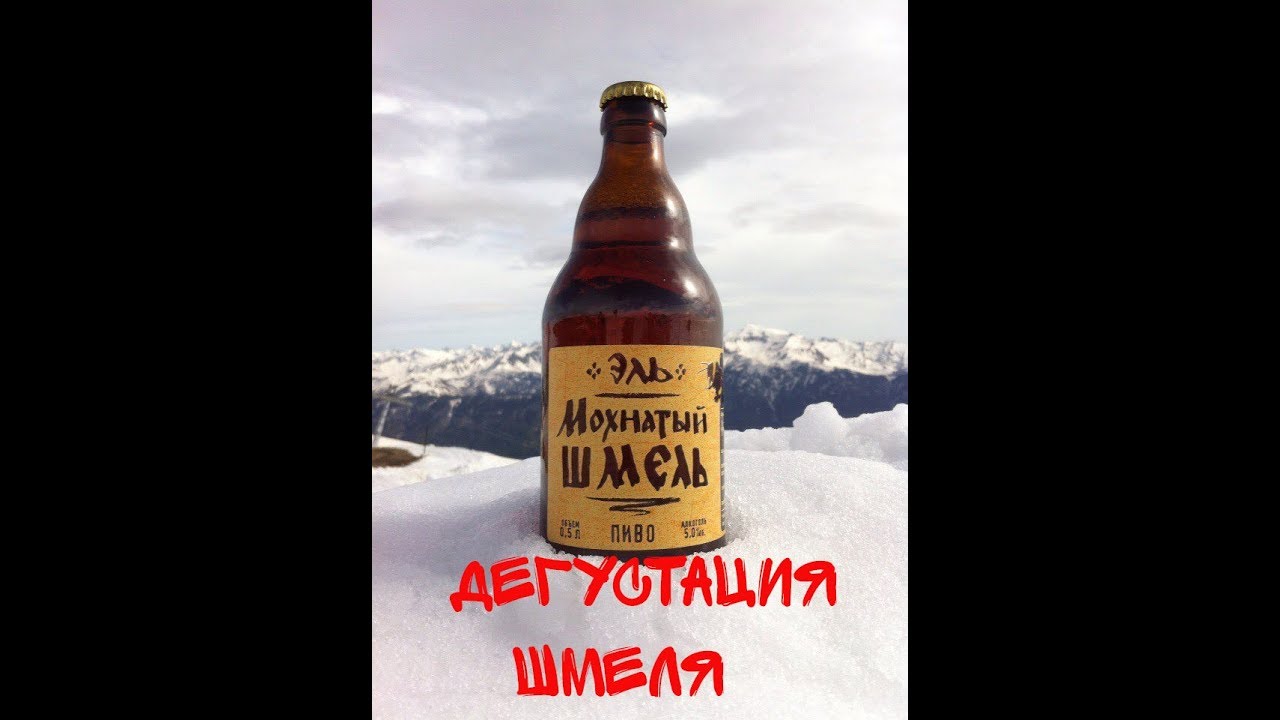 ДЕГУСТАЦИЯ ПИВА 