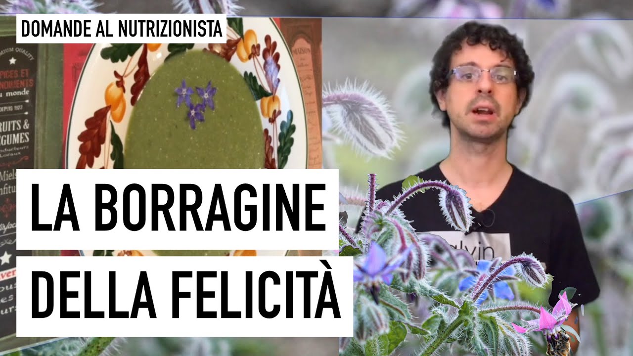 La borragine della felicità
