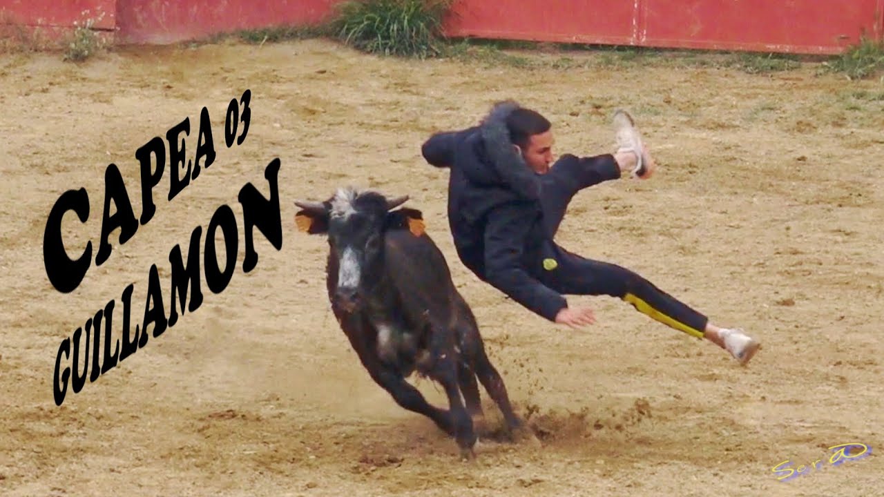 ✅2021 SAN JUAN de MORO 03 ◾ Tentadero Guillamòn