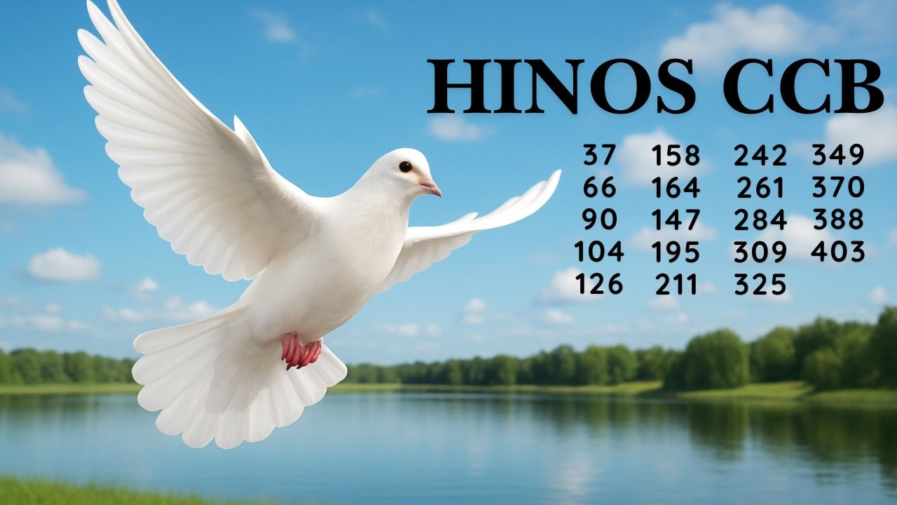 HINOS CCB - 59 |  37 .66 90 104 126 158 164 147 195 211 242 261 284 309 325 349 370 388 403