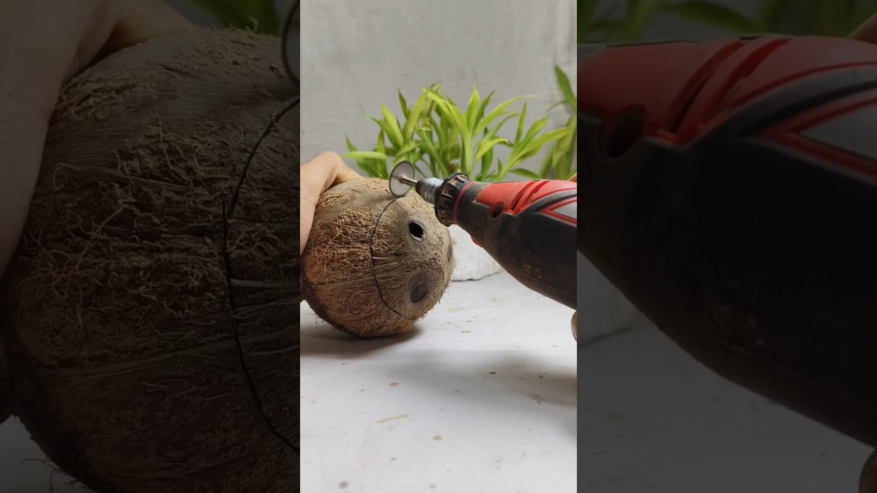 how to make coconut shell hanging plant pot || #shortsfeed #viralshort #shorts #diy
