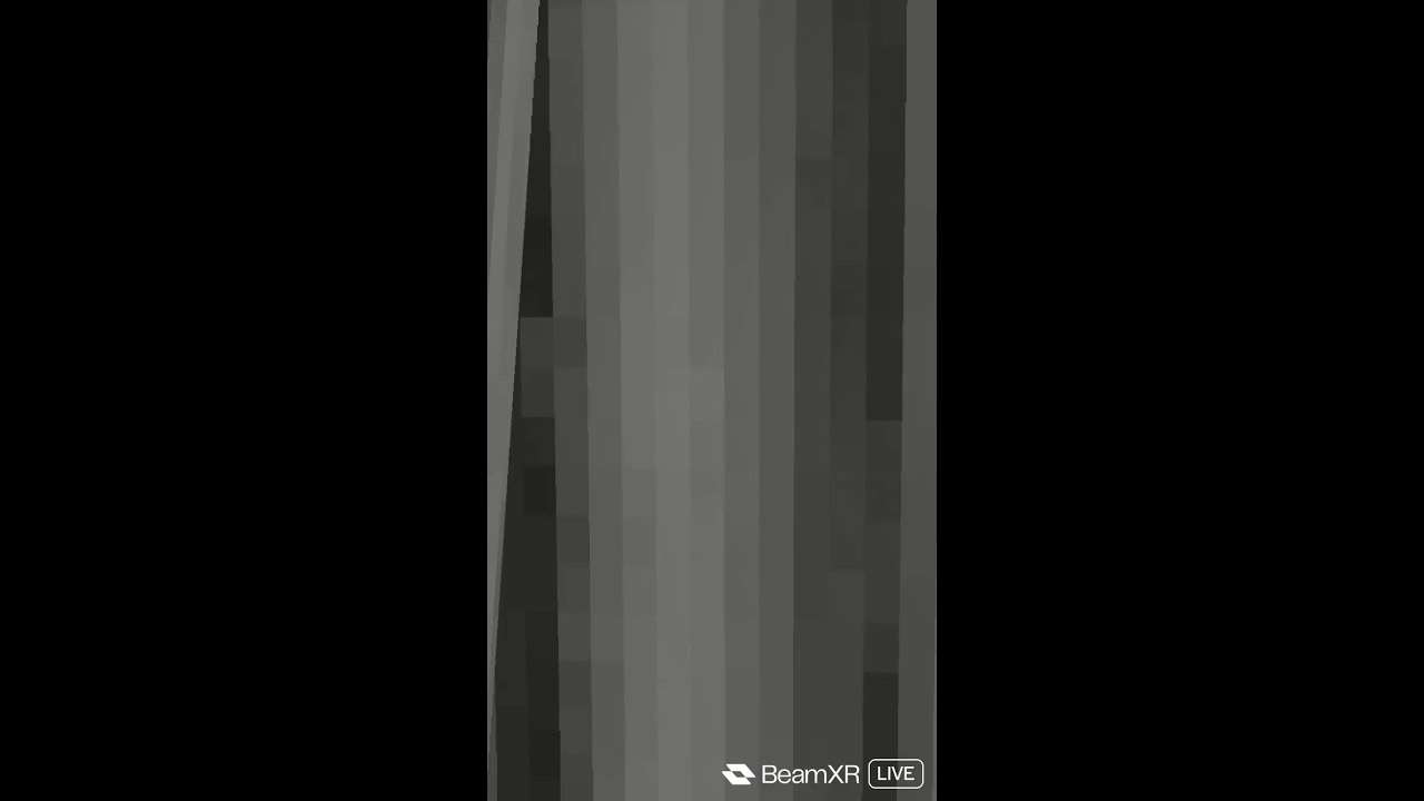 VR LIVE
