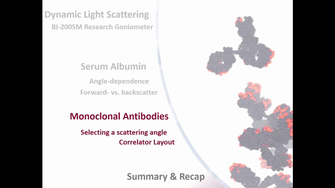 Measuring Monoclonal Antibodies with DLS