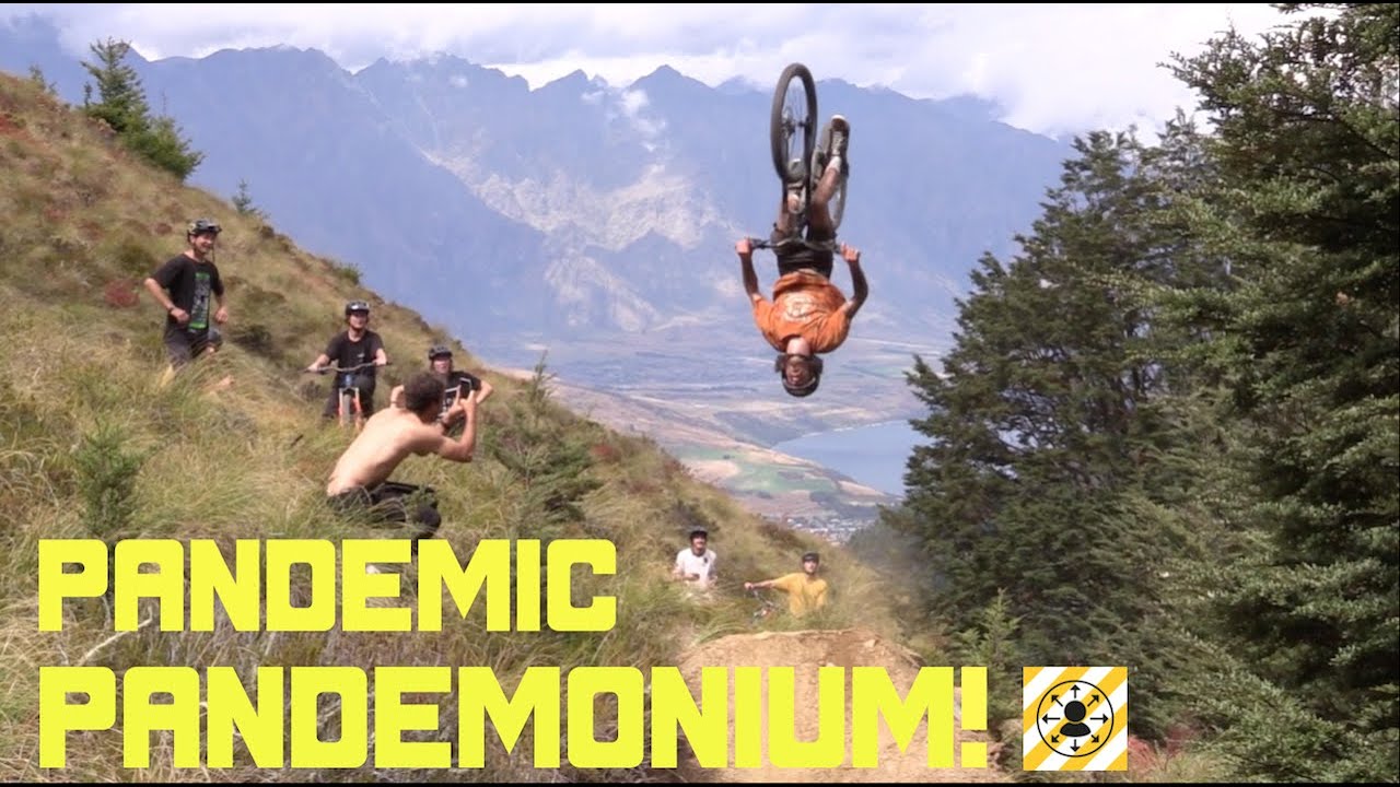 Pandemic Pandemonium