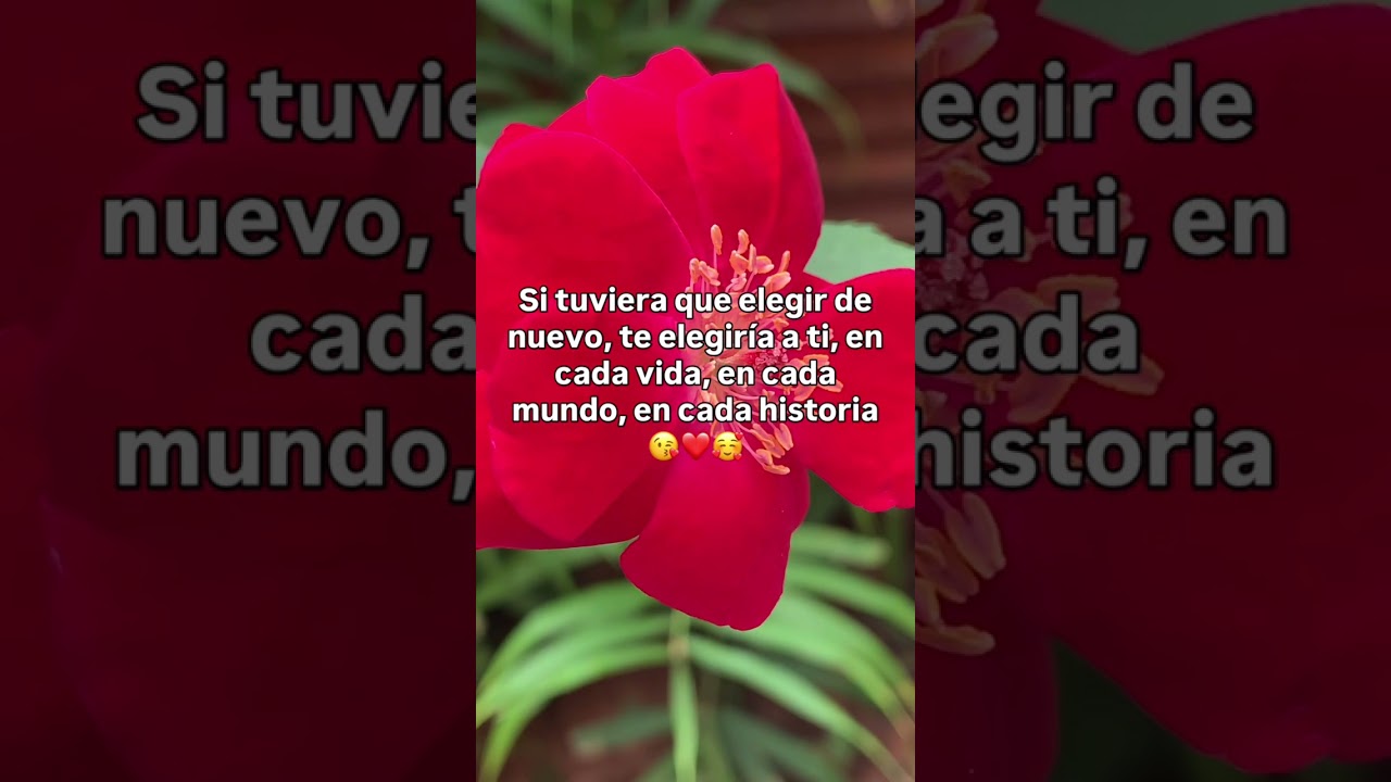 Любовное письмо 💌 красивые фразы 😘