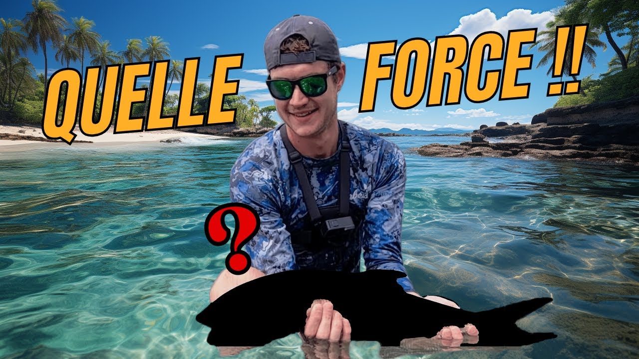 Quel est ce poisson SURPUISSANT ?  Pêche en Guadeloupe (bonefish, barracuda…)