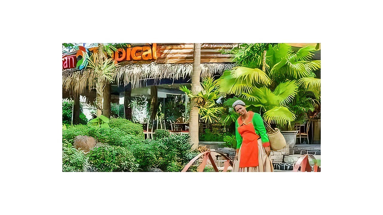 Adrian Tropical: A Culinary Adventure in Santo Domingo