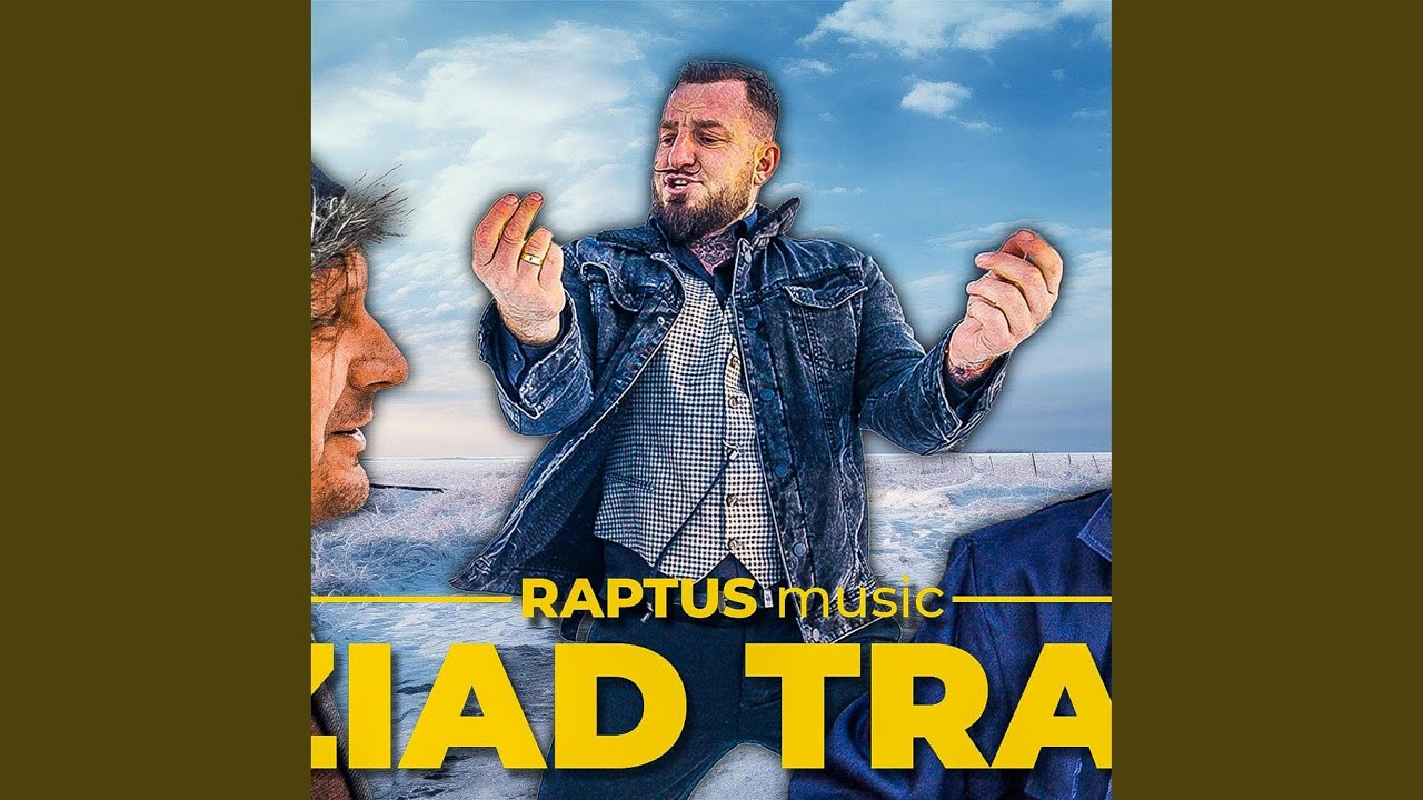 DZIAD TRANS