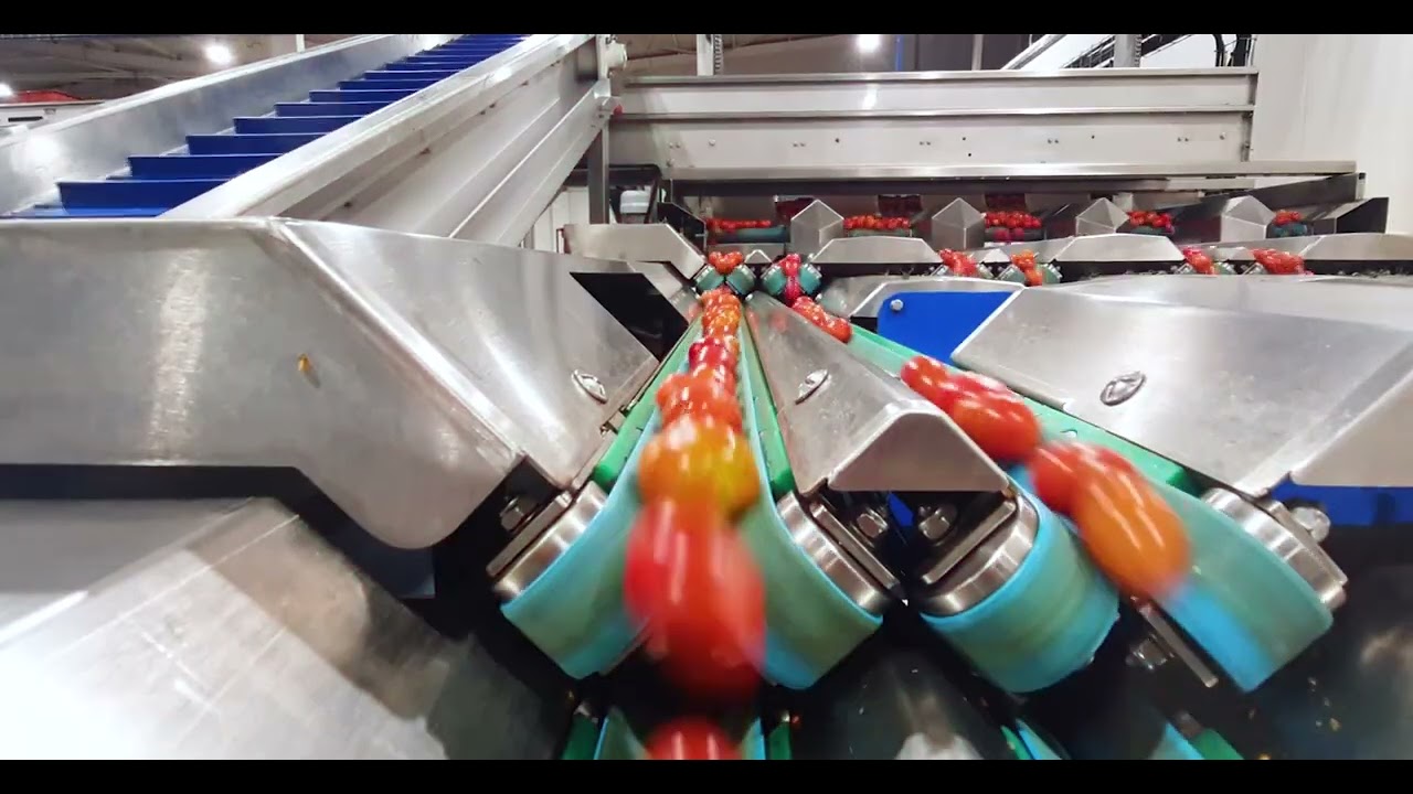 AEM AIT Melloul Electromécanique : Calibreuse petits fruits