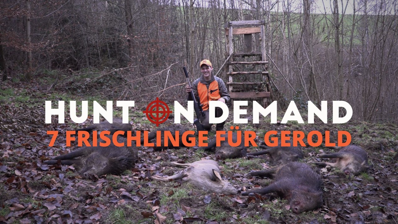 7 Frischlinge f&uuml;r Gerold 🐗 von @hunterbrothersofficial