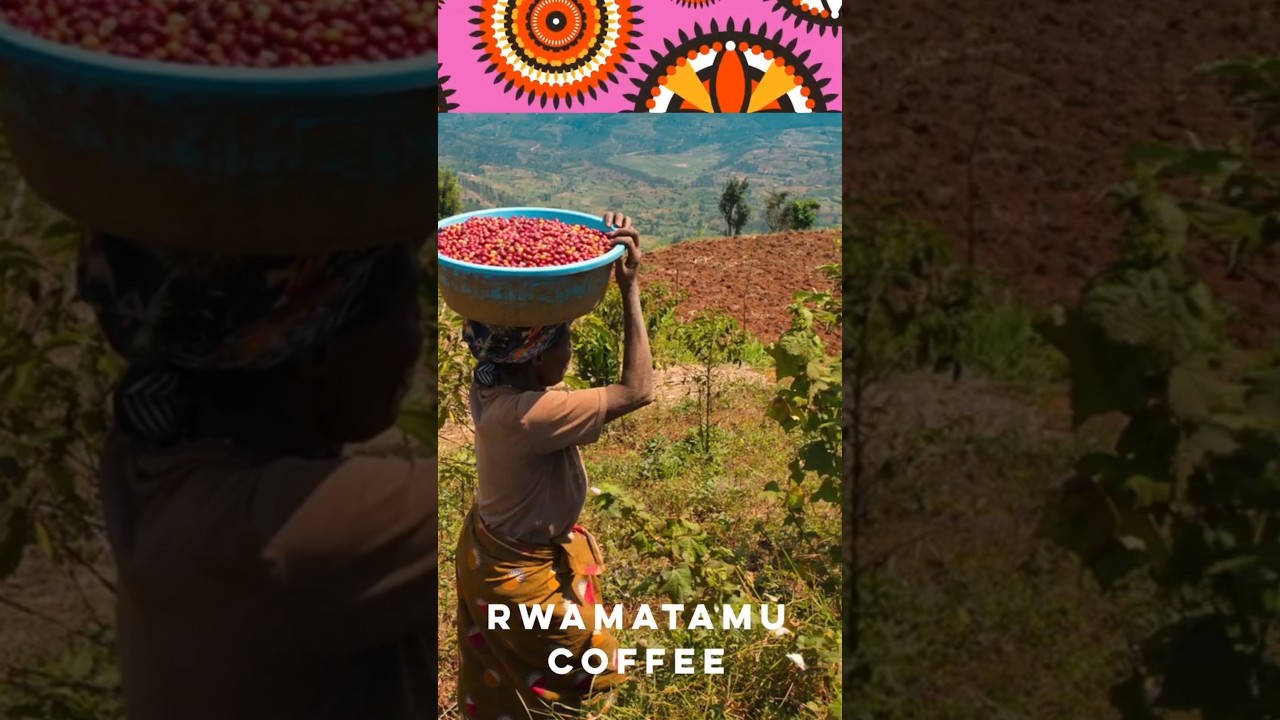 Rwamatamu Rwanda Coffee 88 cupping score