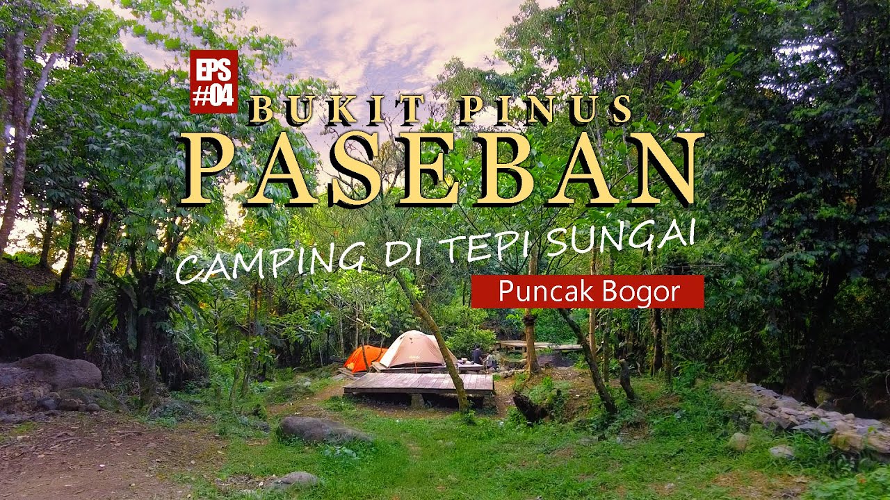 Camping Keluarga Di BUKIT PINUS PASEBAN | Camping di Pinggir Sungai Puncak Bogor | ASMR Camping