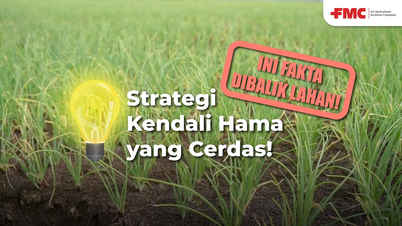 INI FAKTA DIBALIK LAHAN! Strategi Kendali Hama yang cerdas!
