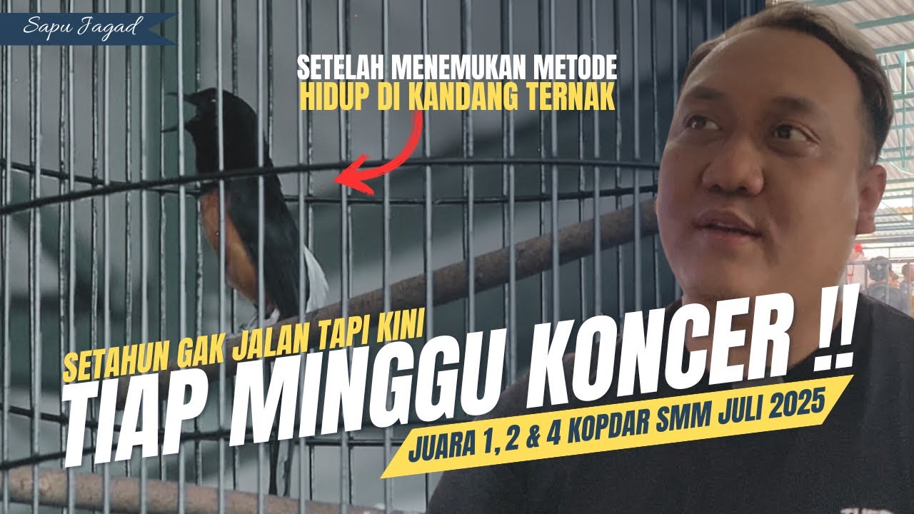 Setahun Gak Jalan‼️Kini Tiap Minggu Koncer Di Event Besar