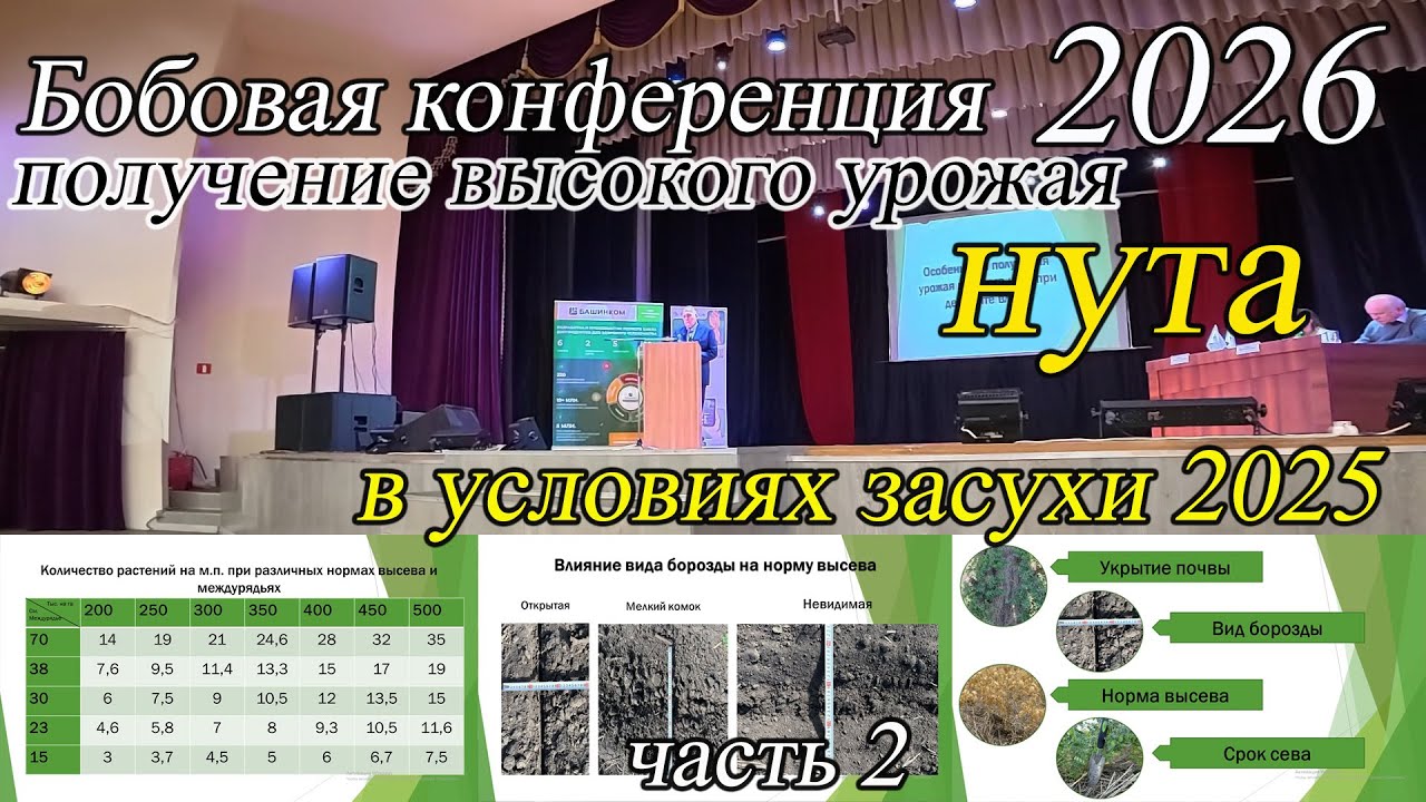 Бобовая конференция 2026, как вырастить много крупного НУТА (часть 2)
