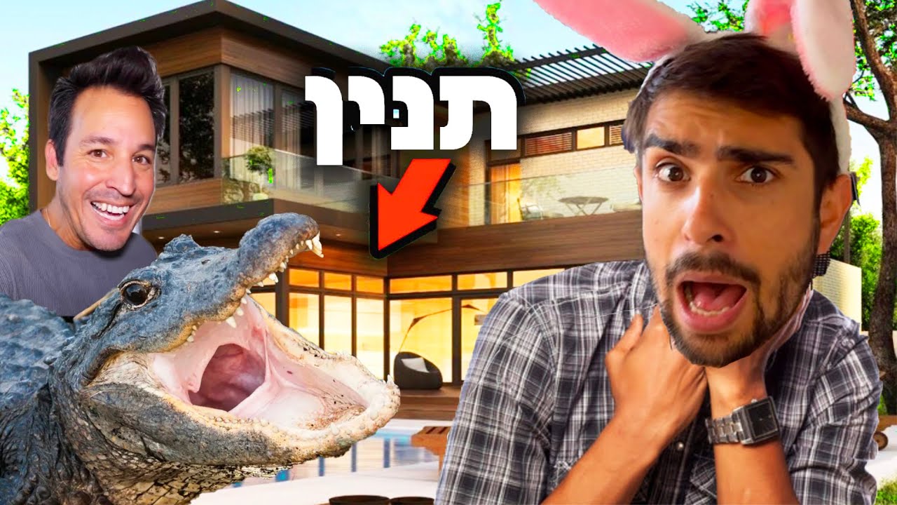 קרוקודיל פרץ לבית של משפחת ליופוריו