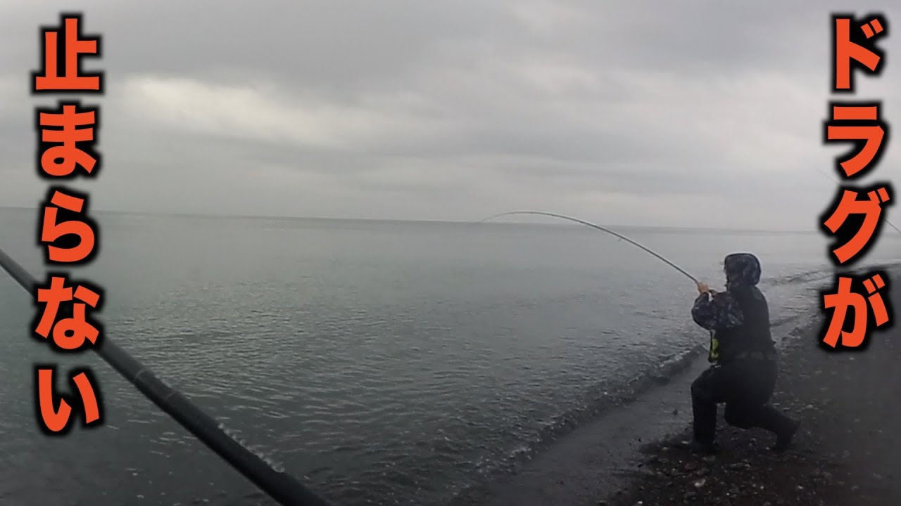 巨大青物がボコボコの海で、、、
