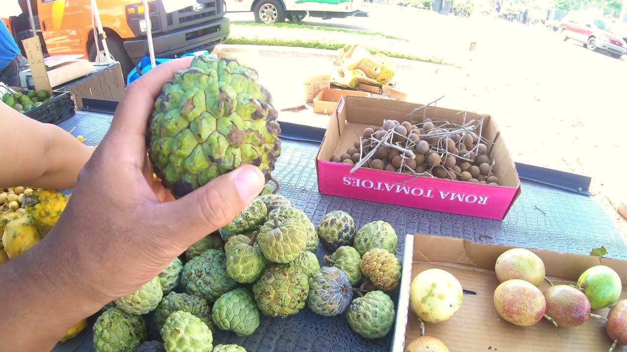 Mustang Market Farmers Flea Market FLORIDA England Brothers Park September 4th 2021 Pinellas Park