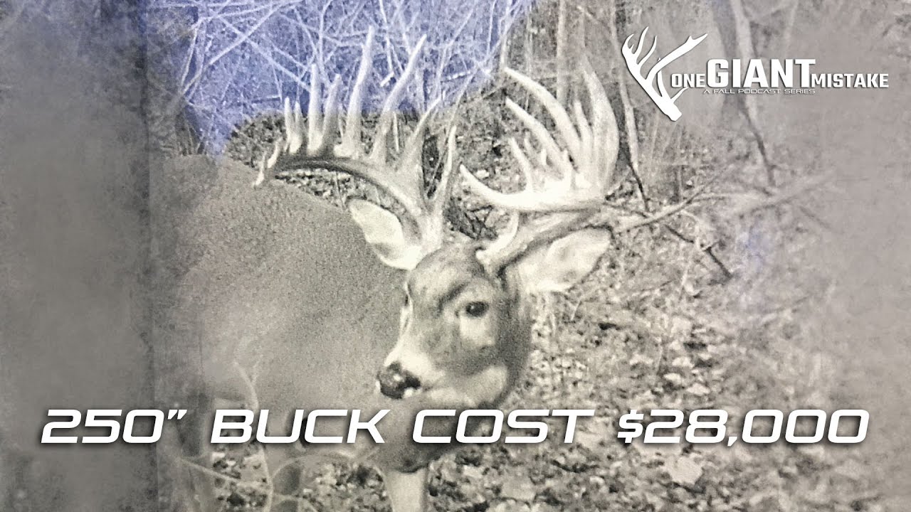 250
