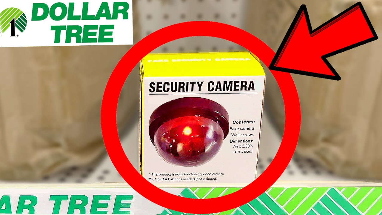 10 Things You SHOULD Be Buying at Dollar Tree in January 2022