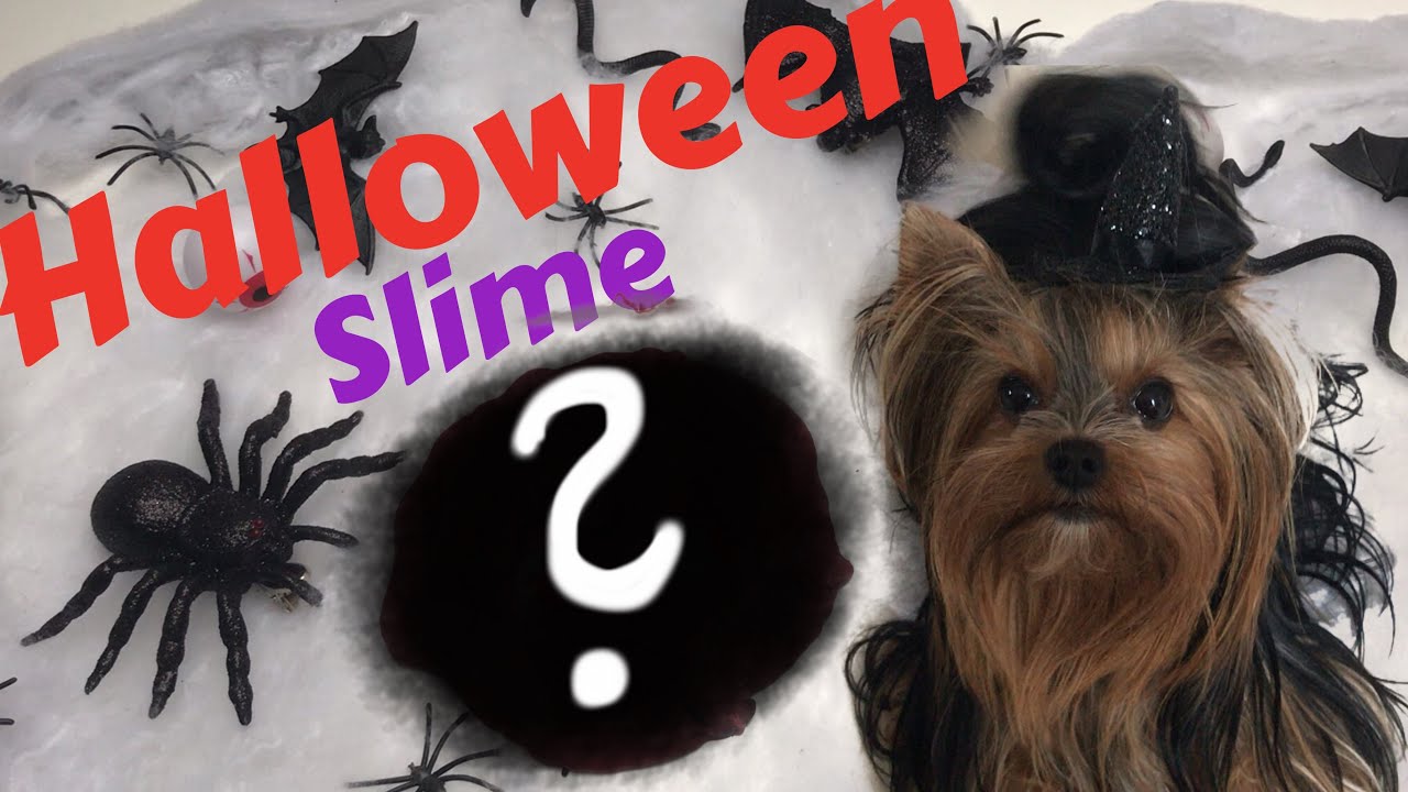 Můj pejsek vyb&iacute;r&aacute; jak vyrob&iacute;m sliz #5 /Halloween