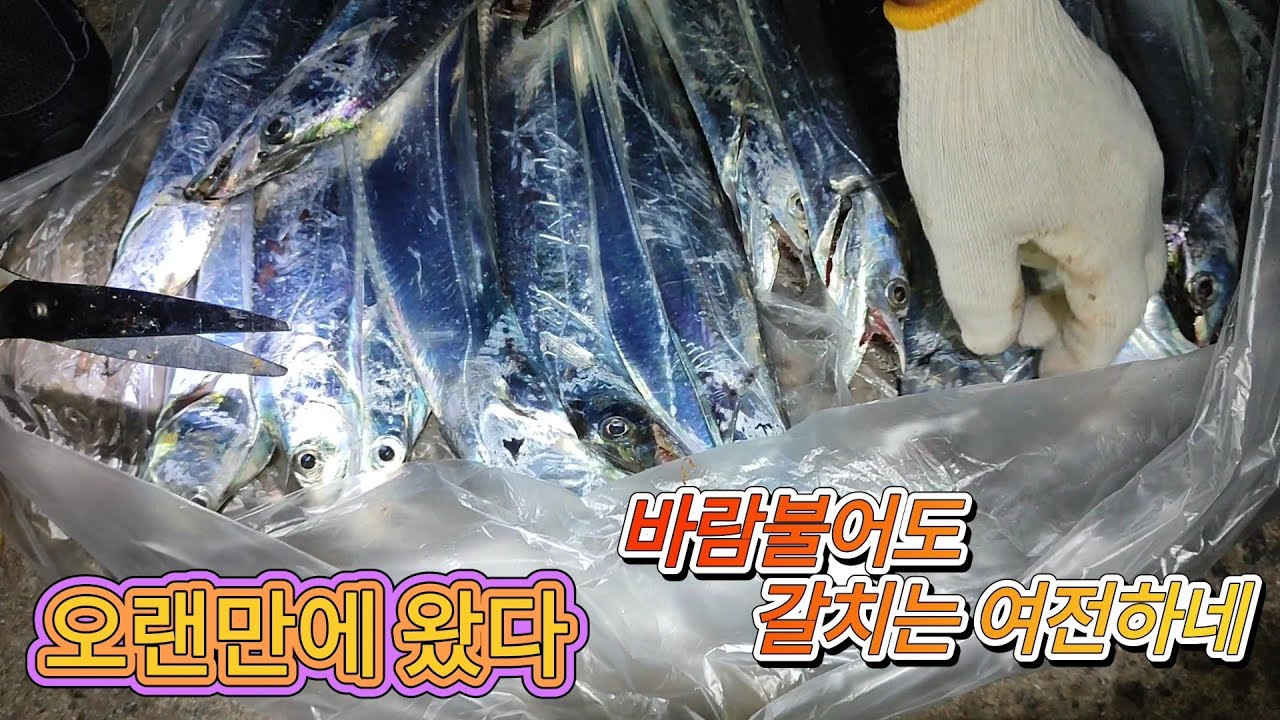 [ 출항 68 ] 너무 잘 나오는데, 사람들이 잘 몰라... 바람불어도 갈치는 여전하네.