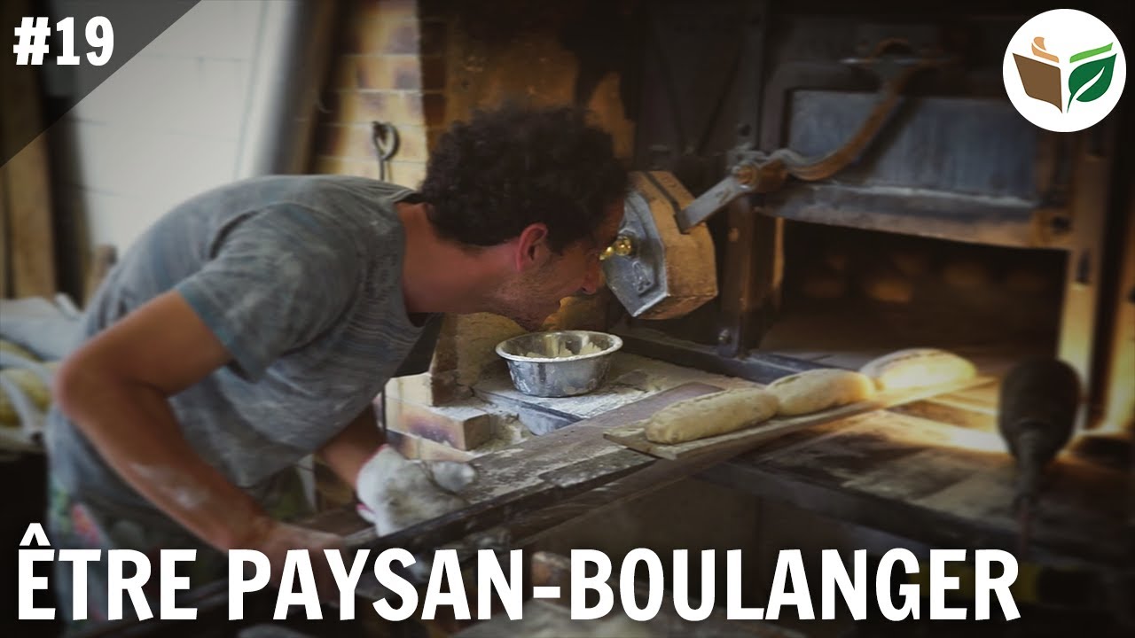 De la céréale au pain : être paysans-boulangers, Au Pain d'Antan - FTD #19