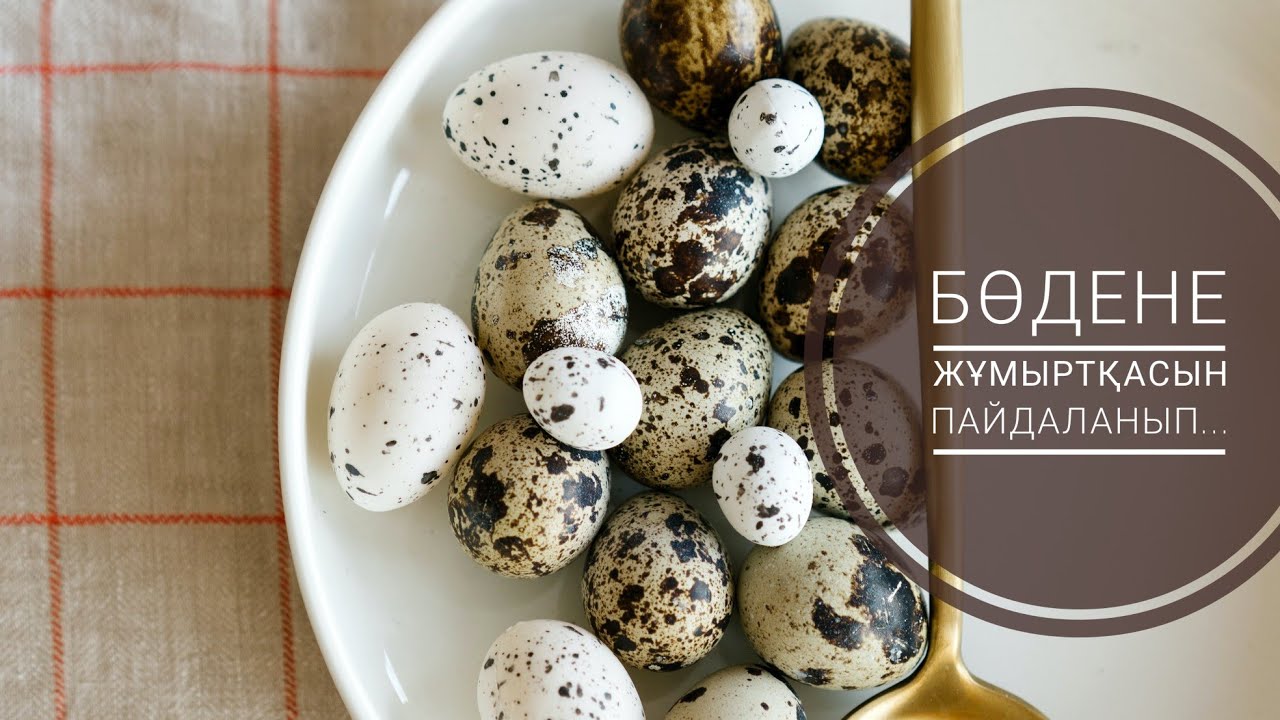 Бөде жұмыртқасының емдік қасиеті #перепелиные яйца